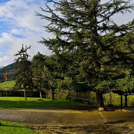 El Nial De Los Pinos Ojedo Exteriér fotografie