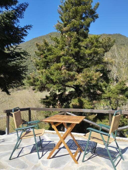 El Nial De Los Pinos Ojedo Exteriér fotografie