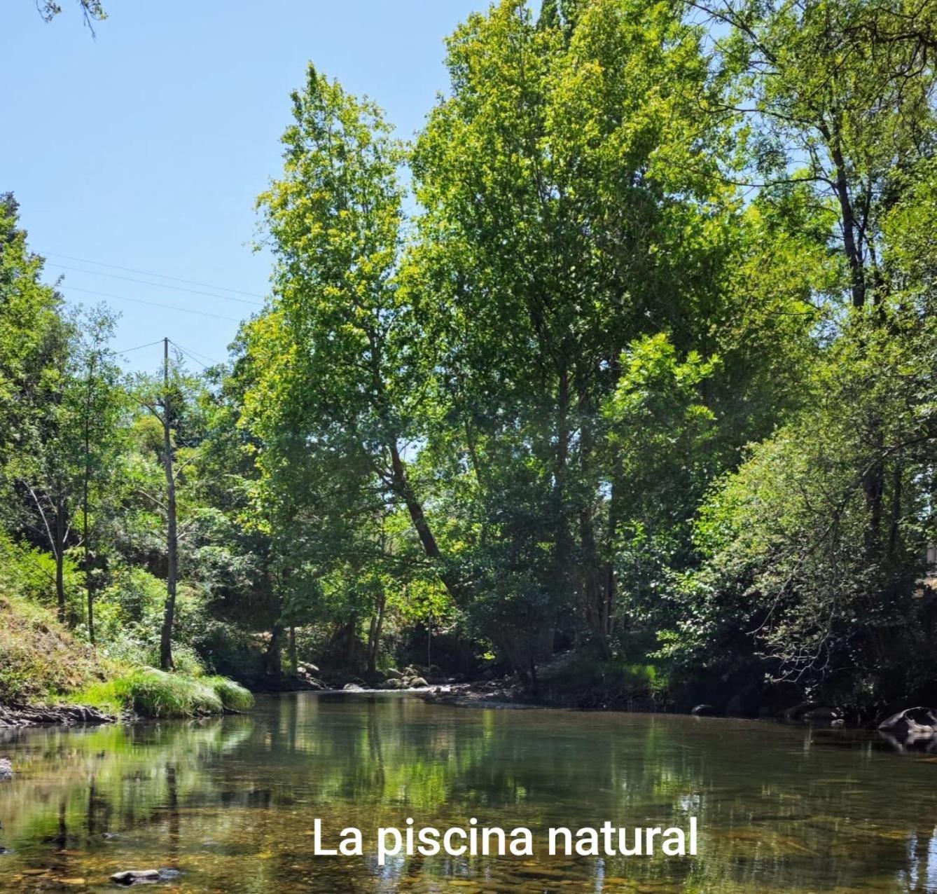 El Nial De Los Pinos Ojedo Exteriér fotografie